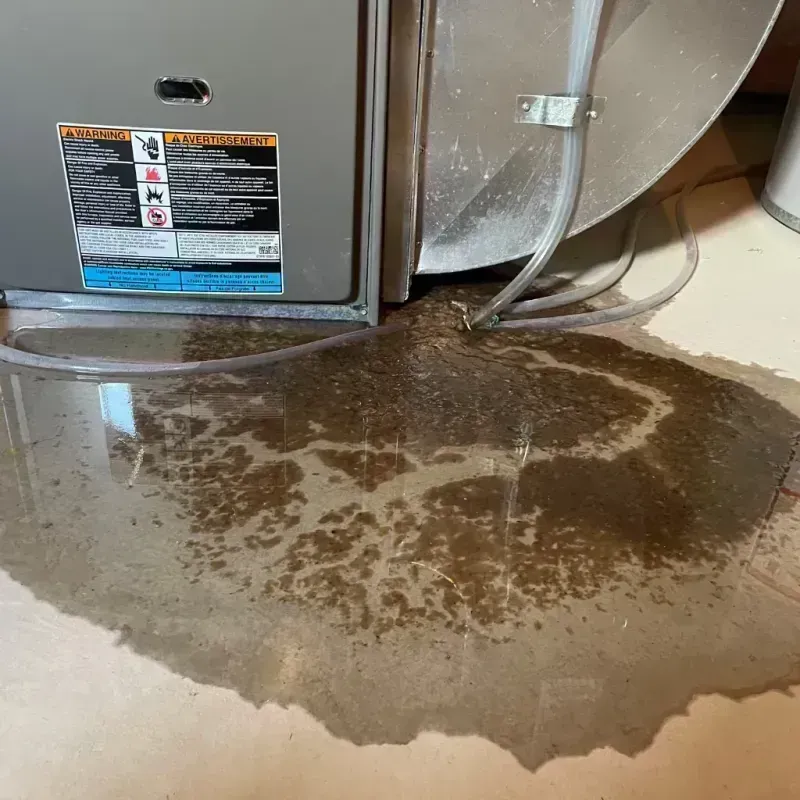 Appliance Leak Cleanup in Ludlow, KY